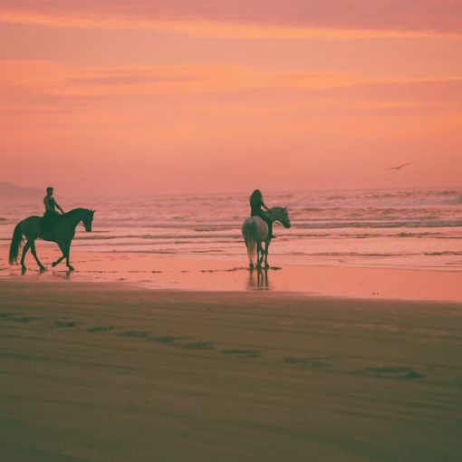 horseriding-beach
